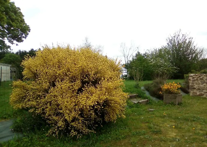 La Ferme De La Baconnerie Casa vacanze *